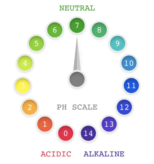 ph scale