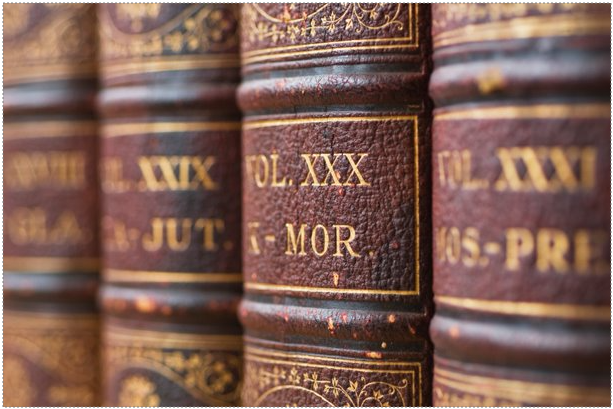 My Encyclopedia (Level 2)