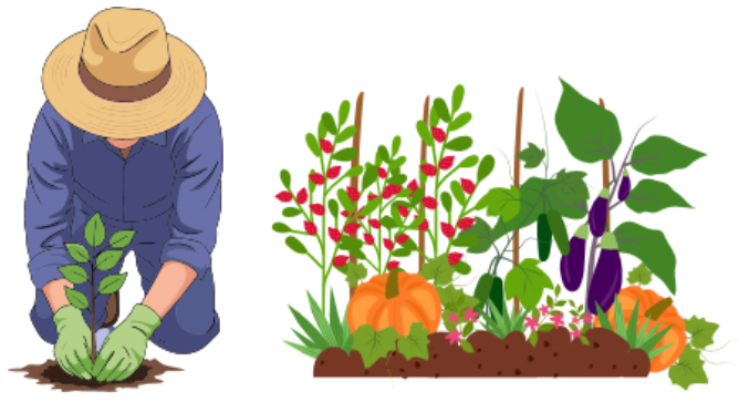 Mini Garden (Level 3)